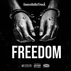 Picture for song 'FREEDOM' by artist 'SauceDaProducer'