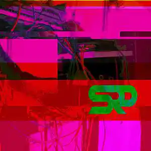 Picture for song 'Northing' by artist 'Self Reflecting Pattern'