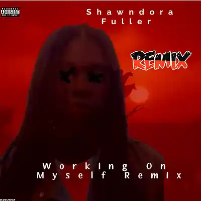 Picture for song 'Working On Myself ( Remix)' by artist 'Shawndora Fuller'