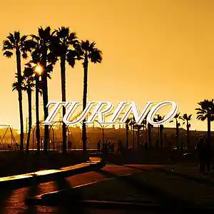 Picture for song 'TURINO' by artist 'Slicer66'