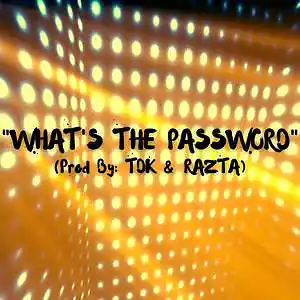 Picture for song 'WHAT'S THE PASSWORD (CLUB) PARTY (TWERKING)' by artist 'TDK'