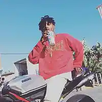 Picture for song '*NEW* Trees' by artist 'Too Cool Beats'