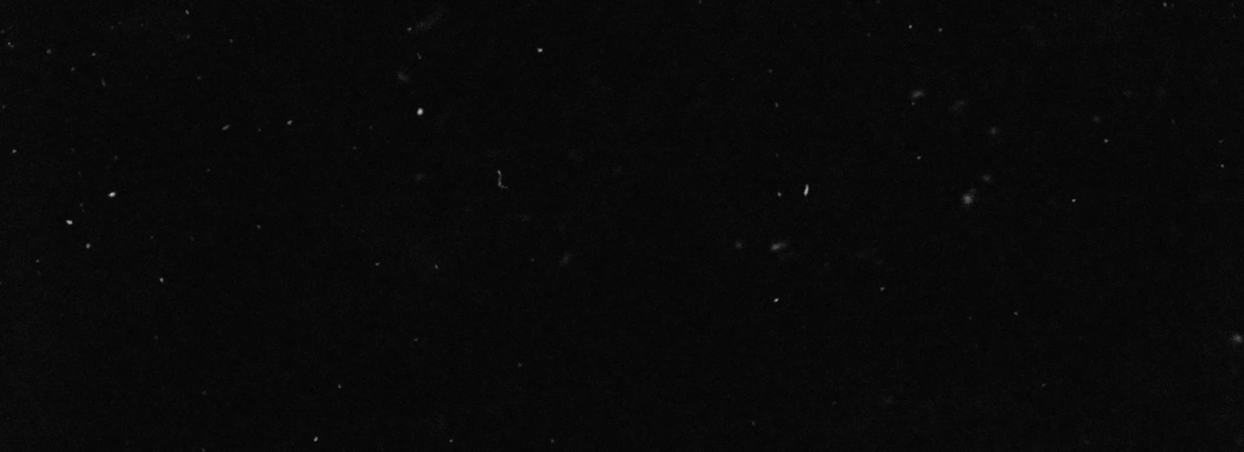cover pic