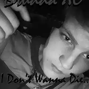 Picture for song 'I Dont Wanna Die' by artist 'BruddaXO - Hagemann Labs LLC.'