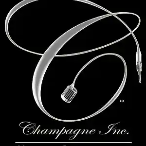 Picture for song 'NonDisclosureChampagneINC' by artist 'Champagne Inc.'