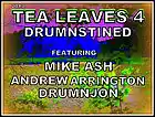Picture for song 'Tea Leaves 4(Tribal Dub)' by artist 'Decaying Orbit'