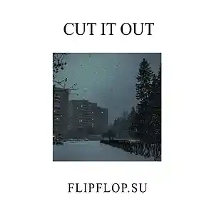 Picture for song 'cut it out' by artist 'flipflop'