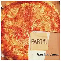 Picture for song 'Inebriated' by artist 'Harrison James'