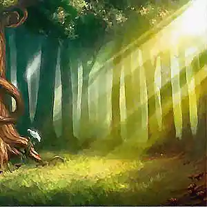 Picture for song 'Let's go to the mysterious forest' by artist 'Jav Grojas'