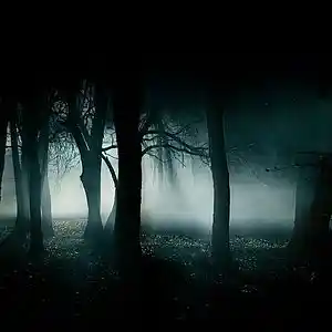 Picture for song 'Encounter to Aokigahara Forest' by artist 'Kamileon'