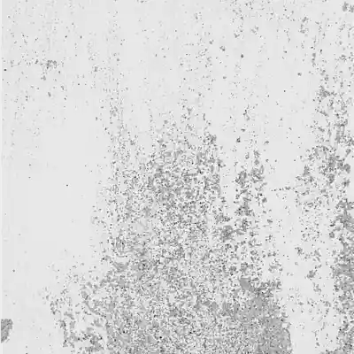 Picture for song 'Brightside' by artist 'Nate Rhoads'