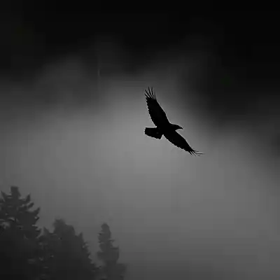 Picture for song '21 SAVAGE TYPE BEAT "SOMBRA ANCESTRAL" 2' by artist 'NEDIL Production'