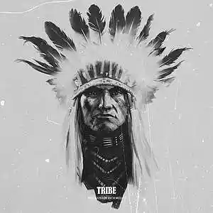 Picture for song 'Tribe' by artist 'RICH MELLO'
