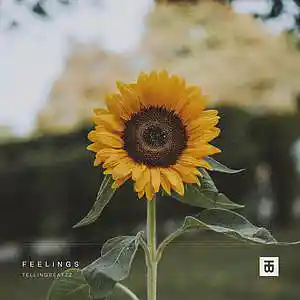 Picture for song 'Feelings' by artist 'TELLINGBEATZZ'