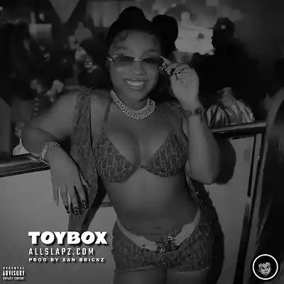 Picture for song 'TOYBOX [bay area, flint, detroit club banger]' by artist 'Xan Brickz'