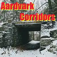 Picture for song 'Aardvark - Room Temperature v2' by artist 'Aardvark (TX - USA)'