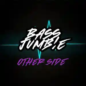 Picture for song 'Bass Jumbie - Other Side' by artist 'Bass Jumbie'