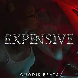 Picture for song 'Expensive - Dark R&B Instrumental' by artist 'Quodis'