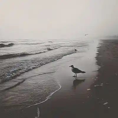 Picture for song 'A walk along the beach' by artist 'Ralf Tygerz Project'
