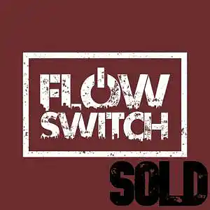 Picture for song 'STEPPIN' (SOLD)' by artist 'Flow Switch'