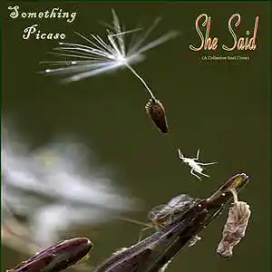 Picture for song 'She Said (A Collective Soul Cover)' by artist 'Something Picaso'