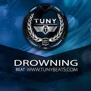 Picture for song 'Drowning' by artist 'Tuny Beats'