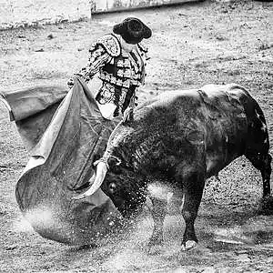 Picture for song 'EL MATADOR Hard guitar Hip Hop' by artist 'Zalfprod'