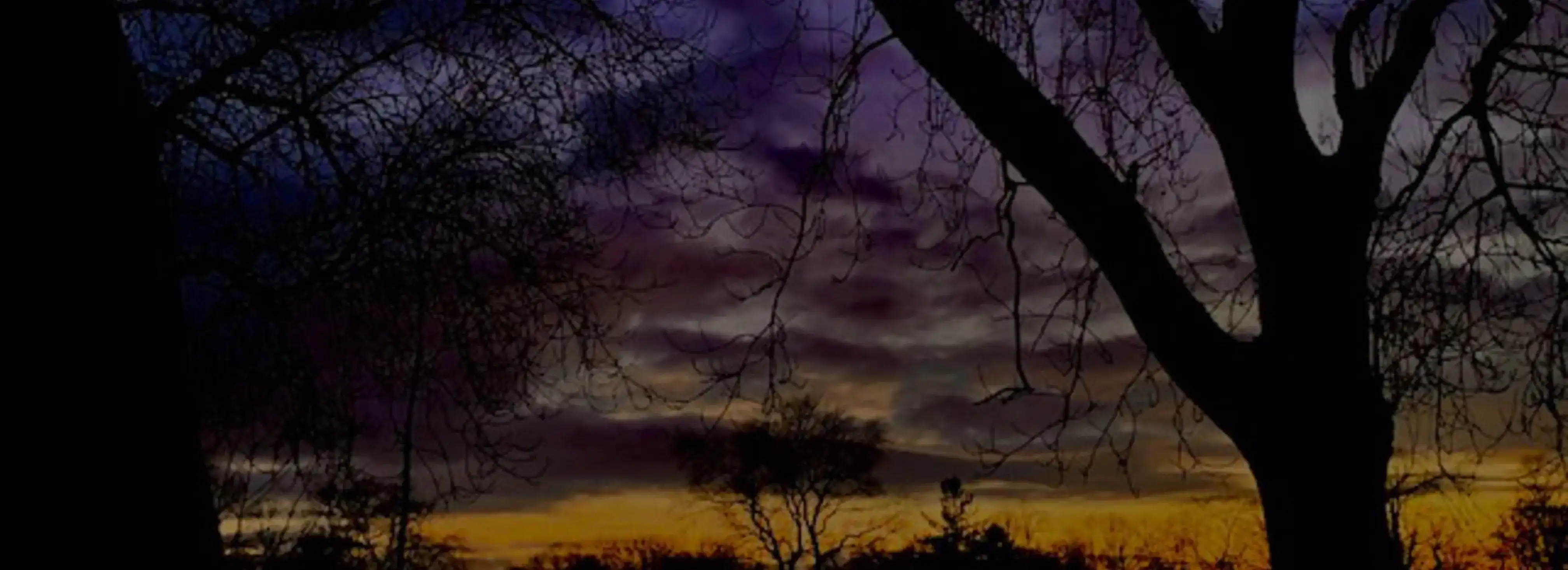 cover pic