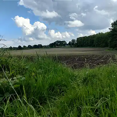 Picture for song '20240530_145239_dramatisc_fs_stimm_T' by artist '786 scheint-Al'lahs Bande'