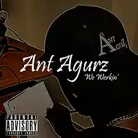 Picture for song 'We Workin'' by artist 'Ant Agurz'