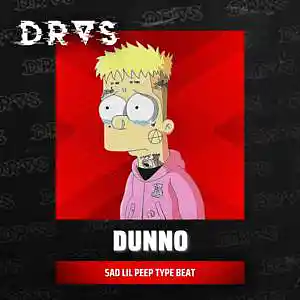 Picture for song '"Dunno" - Sad Guitar Type Beat Lil Peep Type' by artist 'Dras On The Beat'