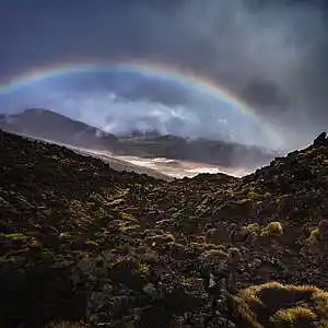 Picture for song 'RainbowLand (80bpm, B min)' by artist 'HappyFace'