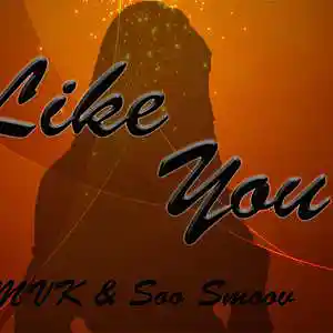 Picture for song 'Like you (MVK & Soo Smoov)' by artist 'IMB Radio'