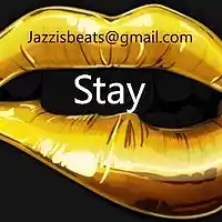 Picture for song 'Stay' by artist 'Jazzi Jaa'