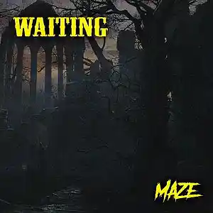 Picture for song 'Waiting - Maze' by artist 'JxstMaze'