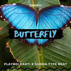Picture for song 'Butterfly' by artist 'Lithium Beats'
