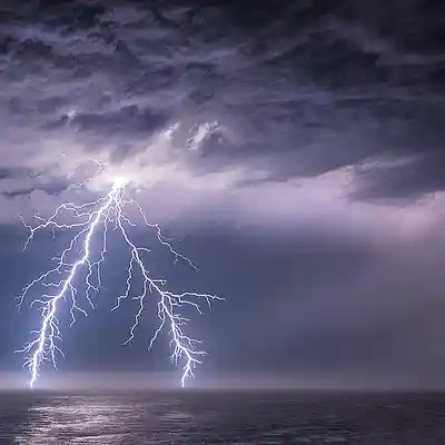 Picture for song 'Electric Water' by artist 'Pete Moss and the Weed Wackers'