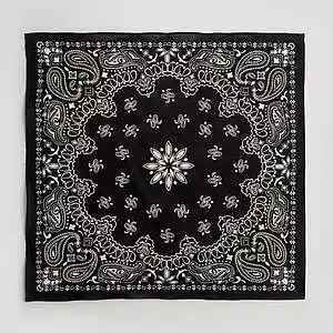 Picture for song 'BANDANA' by artist 'SADYKOV'