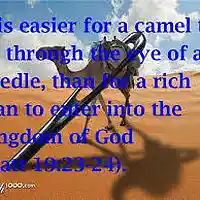 Picture for song '151011 TLC Choir Sings Anthem ' by artist 'trinitychoir'