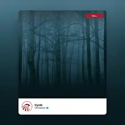 Picture for song 'Cycle' by artist 'CRYWAVE.'