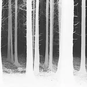 cover pic