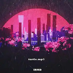 Picture for song 'TURTLE (Buy 2 get 2)' by artist 'IRMD'