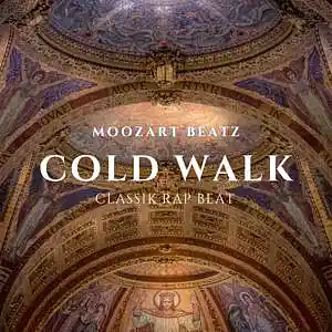 Picture for song 'Cold Walk X Classik Rap X Deep Rap (90BPM)' by artist 'Moozartbeatz'