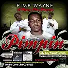 Picture for song 'F*** in Wit a Pimp' by artist 'Pimp Wayne of Pimp City Playaz'