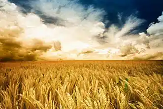 Picture for song 'Lk 24,44-50_FZ.2013.05.12_Hirdetni kell (2)' by artist 'Reformatus igehirdetesek'