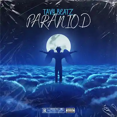 Picture for song 'PARANIOD' by artist 'TAVY BEATZ'