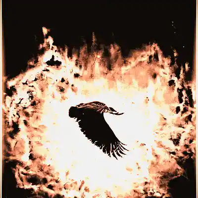 Picture for song 'Exit Dust [twisted mix]' by artist 'Err0r'