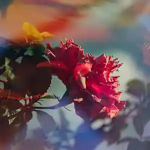 Picture for song 'Single Again' by artist 'jgladmusic'