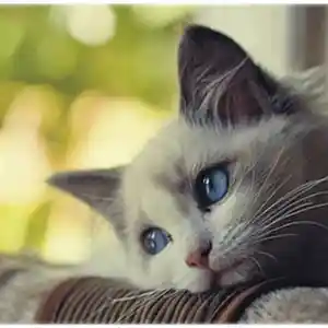 Picture for song 'Emotion' by artist 'Keith Theodosiou'