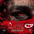 Picture for song '*SOLD* In Wolf's Clothing' by artist 'DA SAINTZ'